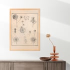 Fleurs, onglet 9