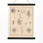 Fleurs, onglet 9