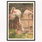 Three Flamingos Three Flamingos