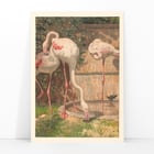Three Flamingos Three Flamingos