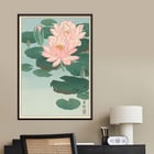 Flowering Water Lily Flowering Water Lily