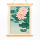 Flowering Water Lily Flowering Water Lily