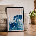 Irises Irises