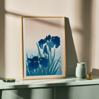 Irises Irises