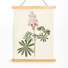 Flors de lupina
