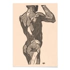 Muscles fessiers Muscles fessiers
