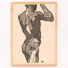 Muscles fessiers Muscles fessiers