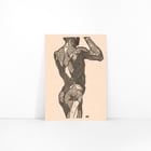 Muscles fessiers Muscles fessiers