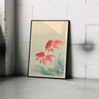 Two Goldfishes Two Goldfishes