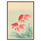 Two Goldfishes Two Goldfishes