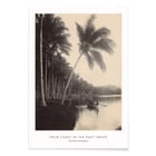 Palm Coast Palm Coast