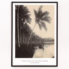 Palm Coast Palm Coast