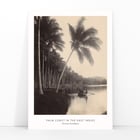 Palm Coast Palm Coast