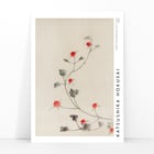 Small Red Blossoms on a Vine Small Red Blossoms on a Vine