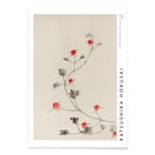Small Red Blossoms on a Vine Small Red Blossoms on a Vine