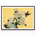 Hydrangea and Swallow Hydrangea and Swallow