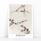 Three Birds Perched on Branches Three Birds Perched on Branches