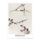 Three Birds Perched on Branches Three Birds Perched on Branches