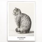 Sitting cat, facing left Sitting cat, facing left