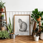 Sitting cat, facing left Sitting cat, facing left
