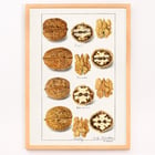 nueces nueces
