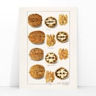 nueces nueces