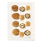 nueces nueces