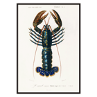 Crimson Crawfish Crimson Crawfish