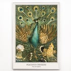 Peacock & Chickens Peacock & Chickens