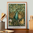 Peacock & Chickens Peacock & Chickens