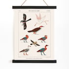 Birds from the tombs of Nevoethph and Menothph Birds from the tombs of Nevoethph and Menothph