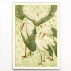 Five storks in a meadow Five storks in a meadow