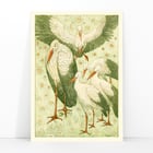 Five storks in a meadow Five storks in a meadow