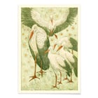 Five storks in a meadow Five storks in a meadow