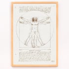 Vitruvian Man Vitruvian Man