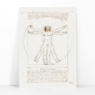 Vitruvian Man Vitruvian Man