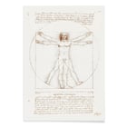 Vitruvian Man Vitruvian Man