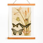 Butterflies and Reeds Butterflies and Reeds