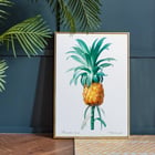 Pineapple Pineapple