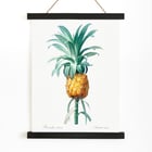 Pineapple Pineapple