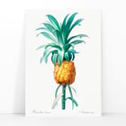 Pineapple Pineapple