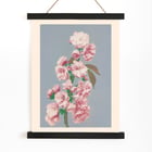 Cherry Blossom Cherry Blossom