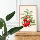 Antique plant Kowhai Antique plant Kowhai