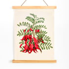 Antique plant Kowhai Antique plant Kowhai