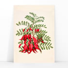 Antique plant Kowhai Antique plant Kowhai
