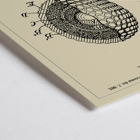 Detailed sketch of golf ball interior structure by R.B. Cavanagh titled Golf Ball Patent Poster featuring a detailed technical drawing of a golf ball patent by R B Cavanagh with labeled internal structure and design elements.