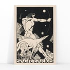 Sagittarius Sagittarius