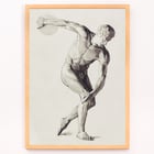Discus Thrower Discus Thrower