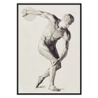 Discus Thrower Discus Thrower