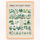 Detailed botanical illustrations showing economical uses of plants by Marcius Willson and Norman A Calkins in School and family charts Botanical economical uses of plants Poster of botanical illustrations showing economical uses of plants featuring artwork by Marcius Willson and Norman A. Calkins